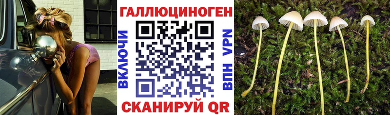 Купить  Кондопога  Галлюциногенные грибы прущие грибы 
